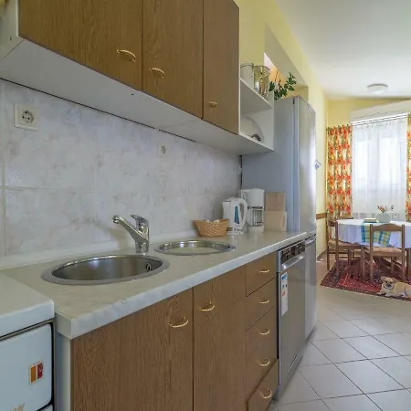 Spacious In Podgradina With Pool Apartman Posedarje